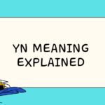 YN Meaning Explained
